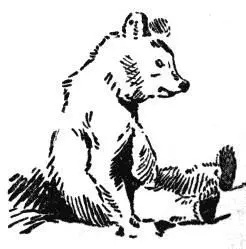 The little Bear fortunately for himself went slowly since in doubt he made - фото 13