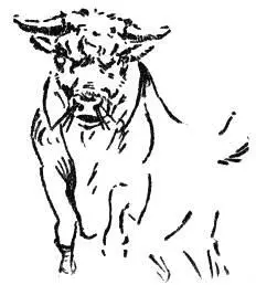 But the crowd wanted a fight and Faco forgetful of his debt to Grizzly Jack - фото 26