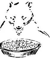 When he looked up the giant Bear was gone There was a rushing of the sheep A - фото 33