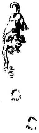 On rough rocky ground a dog is scarcely quicker than a Bear and since the dog - фото 46