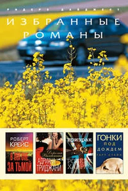 Роберт Крейс В погоне за тьмой (в сокращении) обложка книги