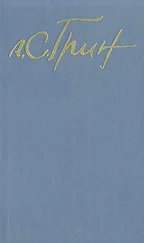 Александр Грин - Тайна дома № 41