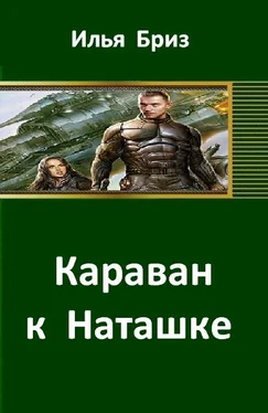 Илья Бриз Караван к Наташке обложка книги