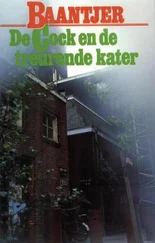 Albert Baantjer - De Cock en de treurende kater