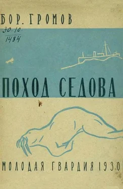 Борис Громов Поход «Седова» обложка книги