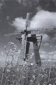 10 Фрагмент здания музея в Дудутках фото ПЖитнюка 11 Фрагмент - фото 9