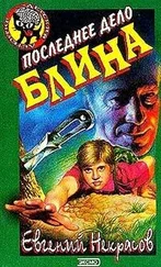 Евгений Некрасов - Последнее дело Блина