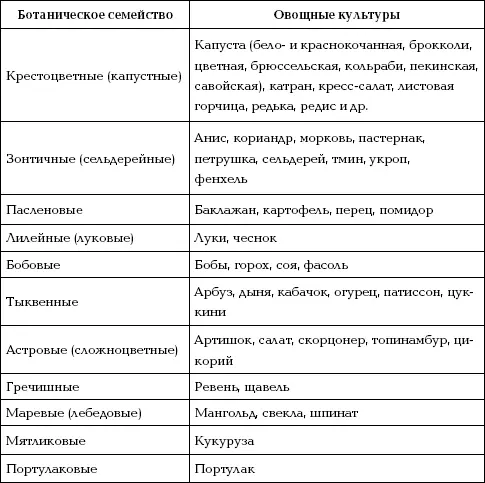 Знание этой классификации необходимо всем кто выращивает овощи так как она - фото 2