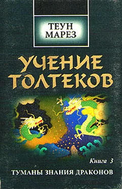 Теун Марез Туманы знания драконов обложка книги