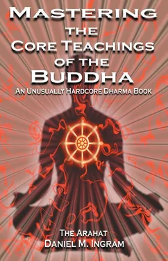 Daniel Ingram Mastering the Core Teachings of Buddha - An Unusually Hardcore Dharma Book обложка книги