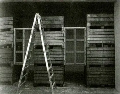 Приехал из Вены Георг привез настоящий кофе и кофеварку В каптерке напротив - фото 83