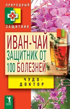 В. Зайцев Иван-чай. Защитник от 100 болезней обложка книги