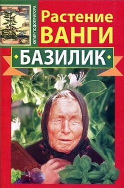 Юлия Подопригора Растение Ванги. Базилик обложка книги