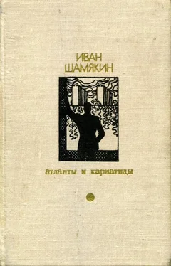 Иван Шамякин Торговка и поэт обложка книги