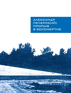 Илья Васильев Александр Печерский: Прорыв в бессмертие обложка книги