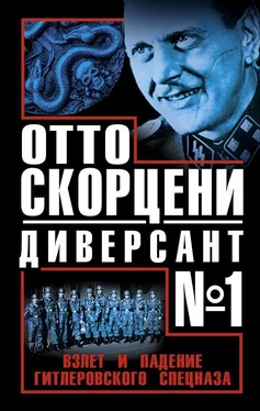 Виталий Чернявский Отто Скорцени - диверсант №1. Взлет и падение гитлеровского спецназа обложка книги