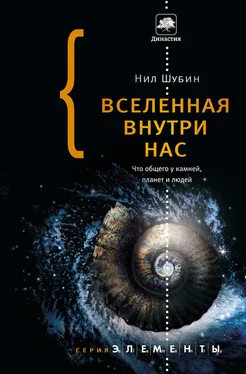 Нил Шубин Вселенная внутри нас: что общего у камней, планет и людей обложка книги