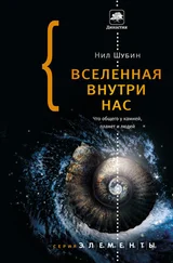 Нил Шубин - Вселенная внутри нас - что общего у камней, планет и людей