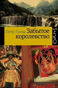 Петр Гуляр Забытое королевство обложка книги