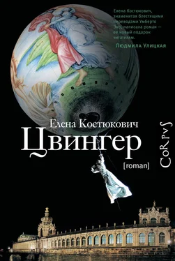 Елена Костюкович Цвингер обложка книги