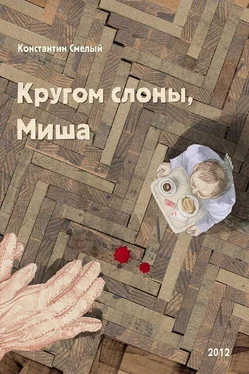 Константин Смелый Кругом слоны, Миша обложка книги