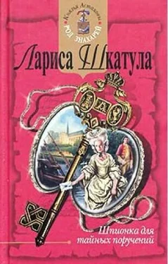 Лариса Шкатула Шпионка для тайных поручений обложка книги