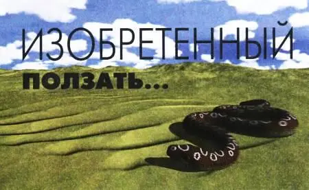 Многие секреты движения змей должны были выяснить ученые прежде чем смогли - фото 12