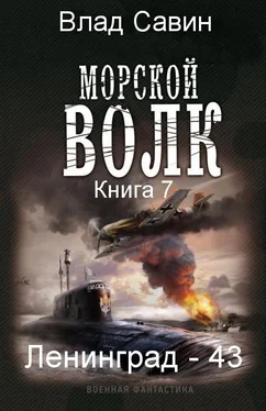 Влад Савин Лениград - 43 обложка книги