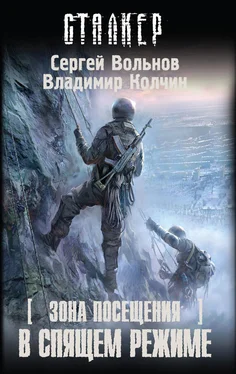 Сергей Вольнов В спящем режиме обложка книги