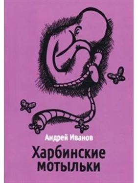 Андрей Иванов Харбинские мотыльки обложка книги