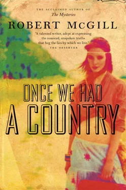 Robert McGill Once We Had a Country обложка книги