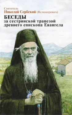 Николай Велимирович Беседы за сестриноской трапезой древнего епископа Евангела обложка книги