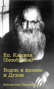 Кассиан Безобразов Водою и кровью и Духом обложка книги