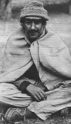 Мишель Пессель - Золото муравьев