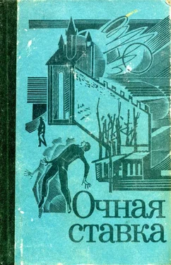 Анна Клодзиньская Очная ставка обложка книги