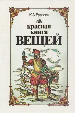 Ким Буровик Красная книга вещей обложка книги