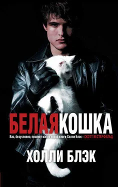 Холли Блэк Белая кошка обложка книги