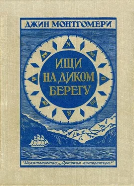 Джин Монтгомери Ищи на диком берегу обложка книги