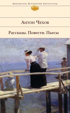 Антон Чехов Цветы запоздалые обложка книги