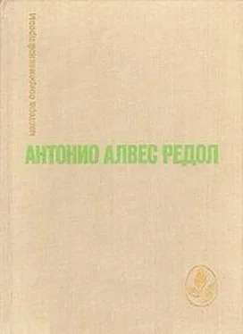 С. Мамонтов Вестник грядущего на каменистом поле обложка книги