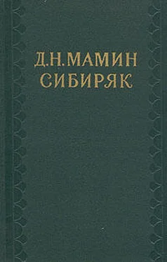 Дмитрий Мамин-Сибиряк На заимке обложка книги