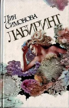 Лия Симонова Лабиринт обложка книги