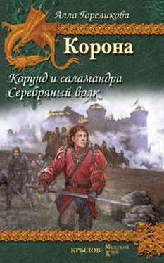 Алла Гореликова Корунд и саламандра обложка книги