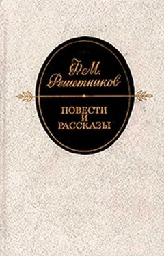 Федор Решетников Из дневника обложка книги