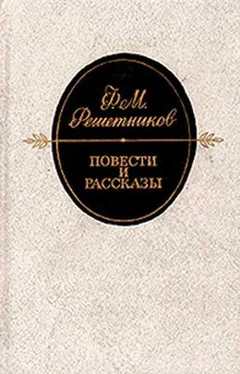 Федор Решетников Внучкин обложка книги