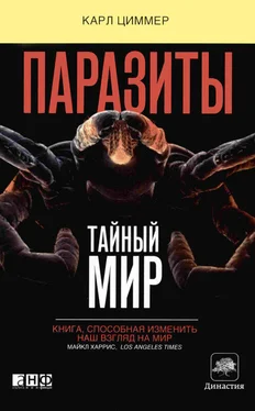 Карл Циммер Паразиты: Тайный мир обложка книги