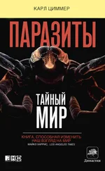 Карл Циммер - Паразиты - Тайный мир