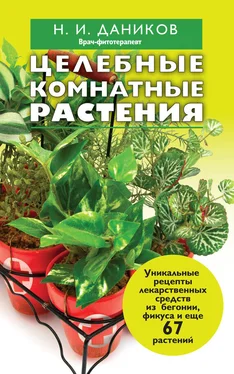 Николай Даников Целебные комнатные растения обложка книги