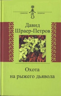 Давид Шраер-Петров Охота на рыжего дьявола. Роман с микробиологами обложка книги