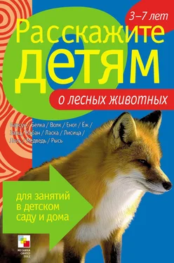 Э. Емельянова Расскажите детям о лесных животных обложка книги